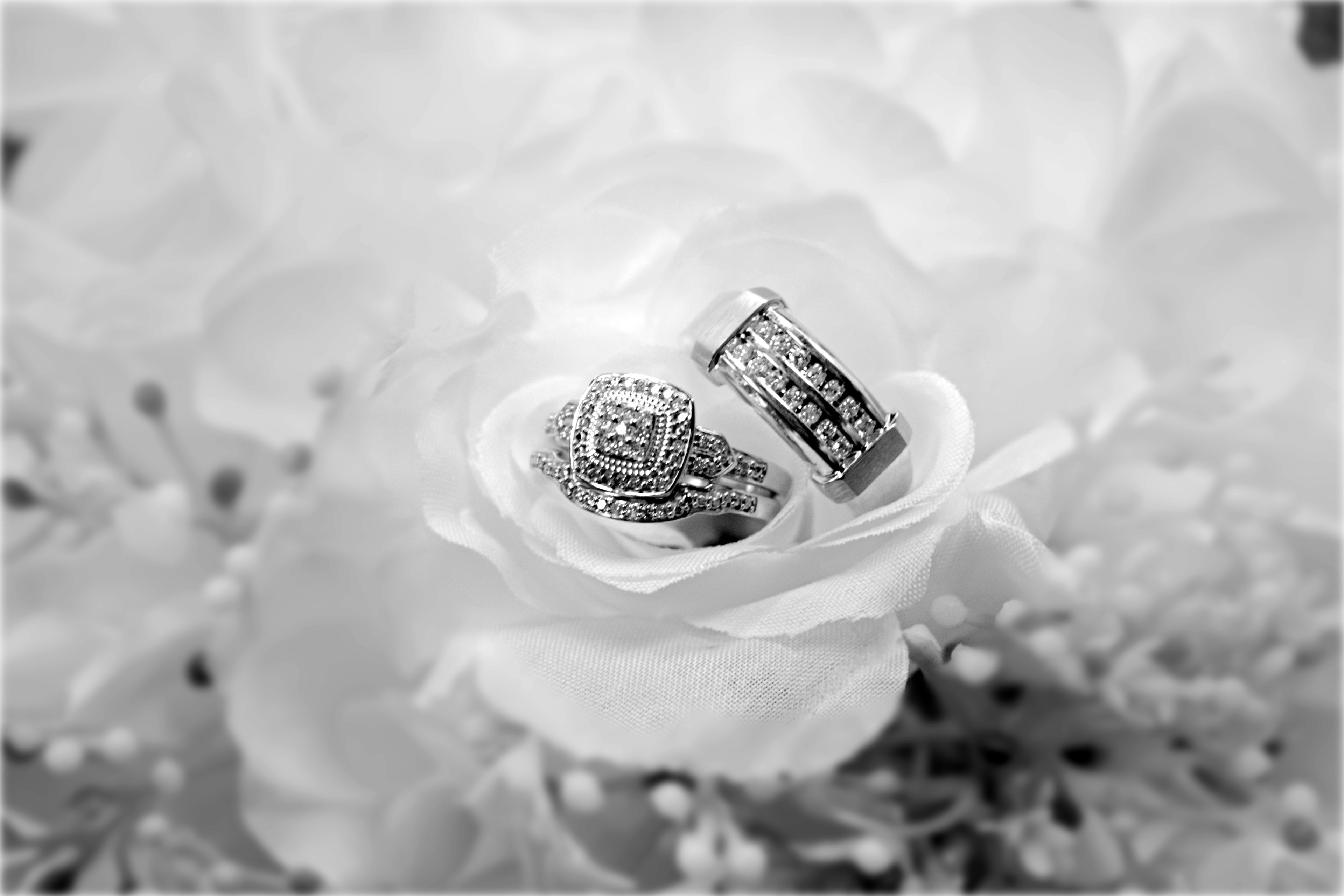 Dashley Weddings ceremony photo